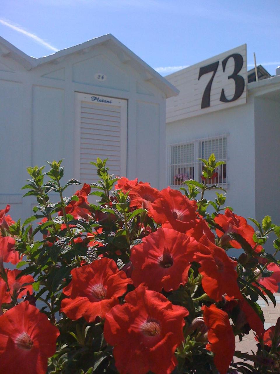 Hotel Villa Platani Riccione Eksteriør billede